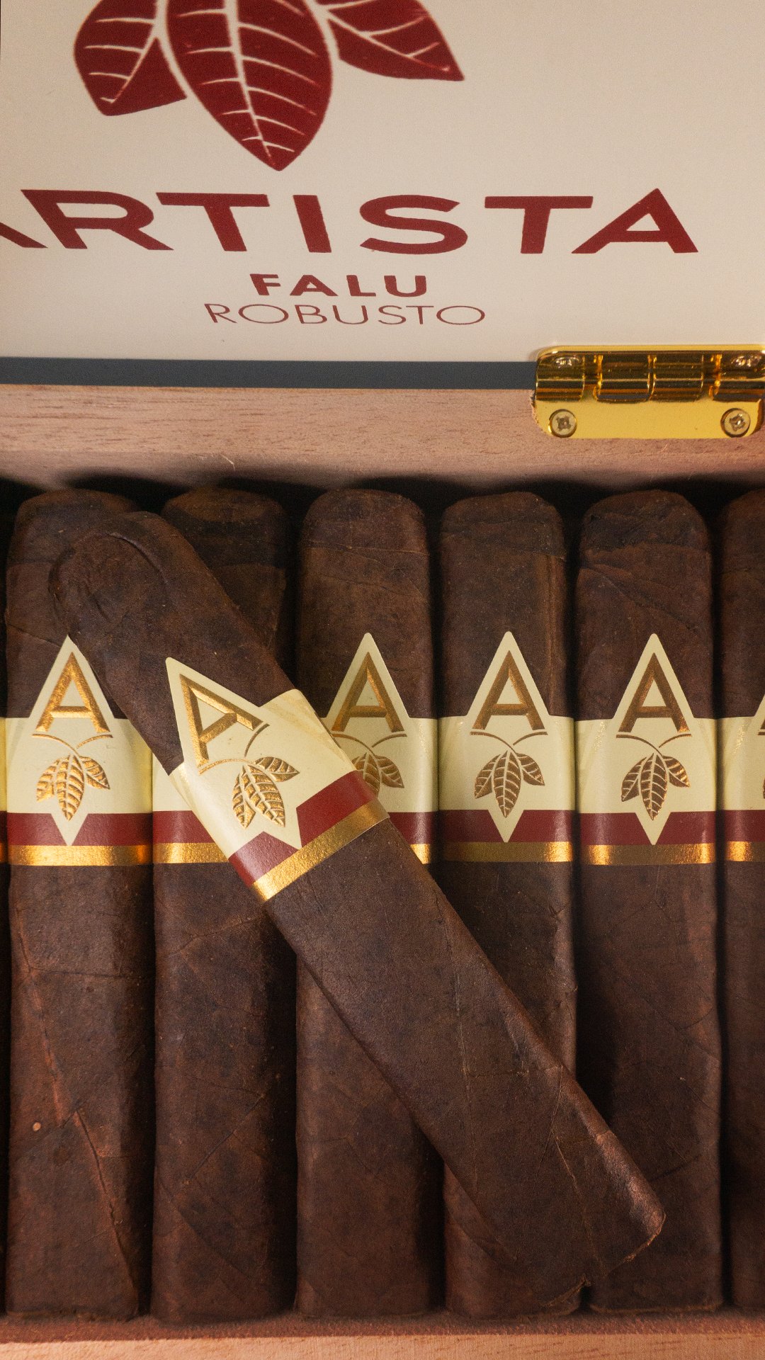 Artista Falu cigar featuring a dark brown San Andrés maduro wrapper and distinctive white band with orange 